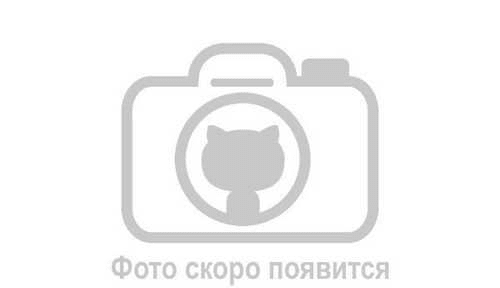 Эублефар Normal poss Tremper Albino