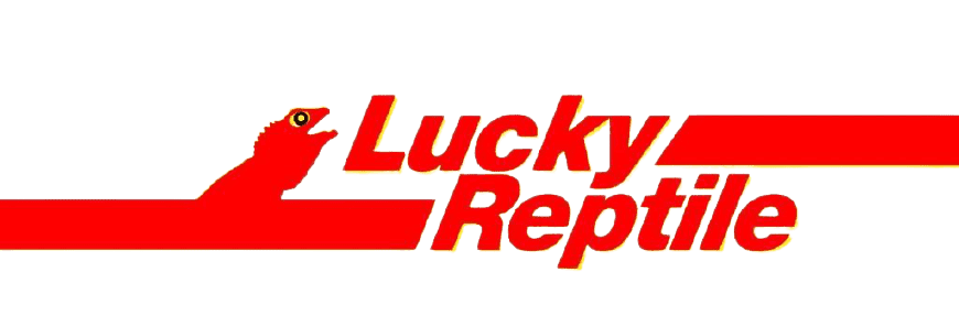  Lucky Reptile