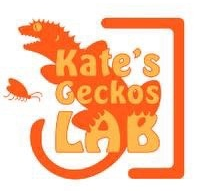  Kate‘s Geckos Lab