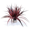 Декорация для террариума "Амазония", 22см