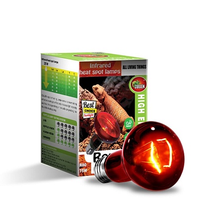 Инфракрасная лампа "Infrared Heat", 75Вт, R80 от магазина ExoLife