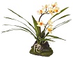 Декоративное растение "Orchid white"