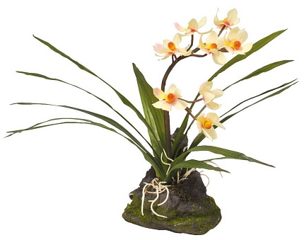 Декоративное растение "Orchid white" от магазина ExoLife