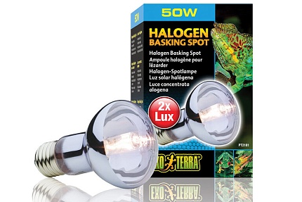 Лампа галогенная для баскинга Halogen Basking Spot, 50 Вт от магазина ExoLife