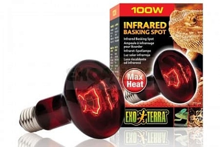 Лампа инфракрасная Infrared Basking Spot, 100 Вт от магазина ExoLife