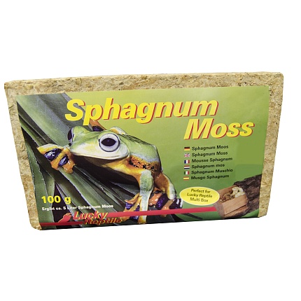 Мох "Sphagnum", светло-бежевый, 100гр от магазина ExoLife
