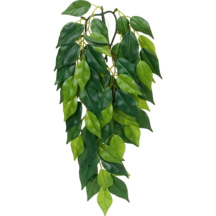 Тропическое растение EX Jungle Plants Ficus, 45*20 см от магазина ExoLife