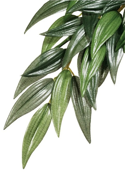 Тропическое растение EX Jungle Plants Рускус, 55х25см от магазина ExoLife