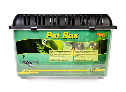 Фаунариум для рептилий "Pet Box Small", 20.5х20.5х17см от магазина ExoLife
