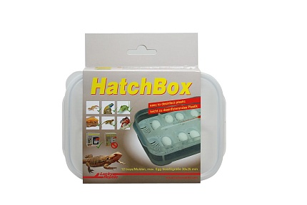 Контейнер для инкубации яиц "HatchBox" от магазина ExoLife
