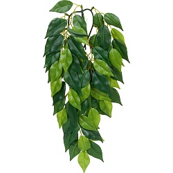 Тропическое растение EX Jungle Plants Ficus, 70*20 см
