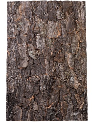 Натуральный фон, кора, "Rough", 90*60см