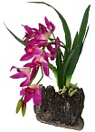Декоративное растение "Orchid purple"