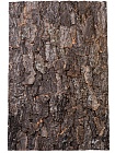 Натуральный фон, кора, "Rough", 60*30см