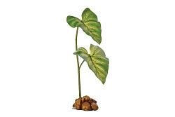 Растение с системой капельного полива Exo Terra Dripper Plant, 11*7*40.5 см