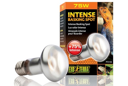 Лампа для баскинга Intense basking spot  75 Вт от магазина ExoLife