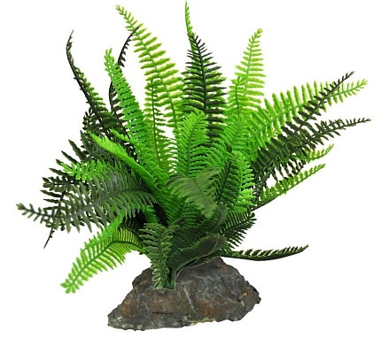 Декоративное растение для террариумов "Fern" от магазина ExoLife