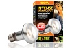 Лампа для баскинга Intense basking spot  50 Вт
