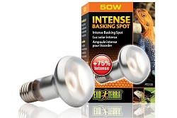 Лампа для баскинга Intense basking spot  50 Вт