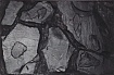 Фон "Altamira", 98*48см