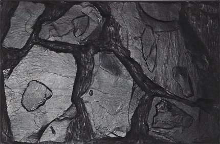 Фон "Altamira", 98*48см от магазина ExoLife