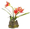 Декоративное растение "Orchid red"