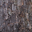 Натуральный фон, кора, "Rough", 60*30см