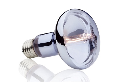 Лампа галогенная для баскинга Halogen Basking Spot, 50 Вт от магазина ExoLife