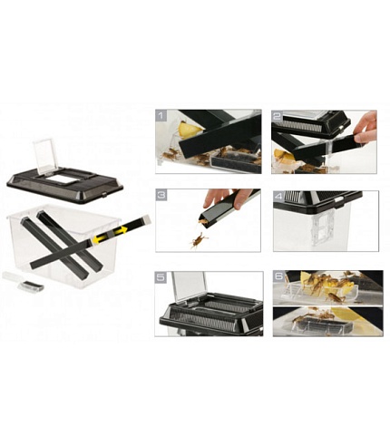 Контейнер для живого корма Exo-Terra Cricket Pen, 18х14х11 см от магазина ExoLife