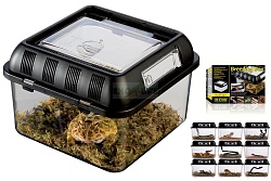 Пластиковый фаунариум Breeding Box, 20.5х20.5х14 см