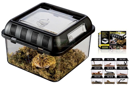 Пластиковый фаунариум Breeding Box, 20.5х20.5х14 см от магазина ExoLife