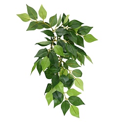 Тропическое растение EX Jungle Plants Ficus, 70*20 см