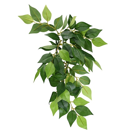 Тропическое растение EX Jungle Plants Ficus, 45*20 см от магазина ExoLife
