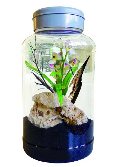 Террариум "Insect Tarrium 5л" от магазина ExoLife