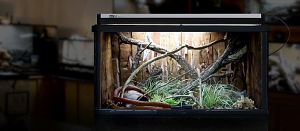 Комплект освещения "PRO T5 UVB Kit 54W Forest 6%", 1150мм от магазина ExoLife