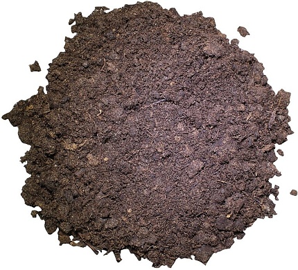 Субстрат для террариумов "Tortoise Bedding " 20 л от магазина ExoLife