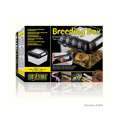 Пластиковый фаунариум Breeding Box, 20.5х20.5х14 см от магазина ExoLife
